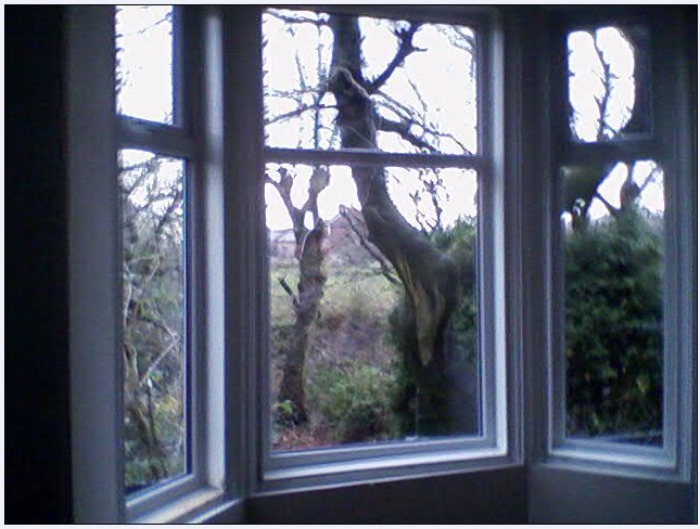 Side&nbsp;bay window that currently suffers water leakage to the leftmost window.